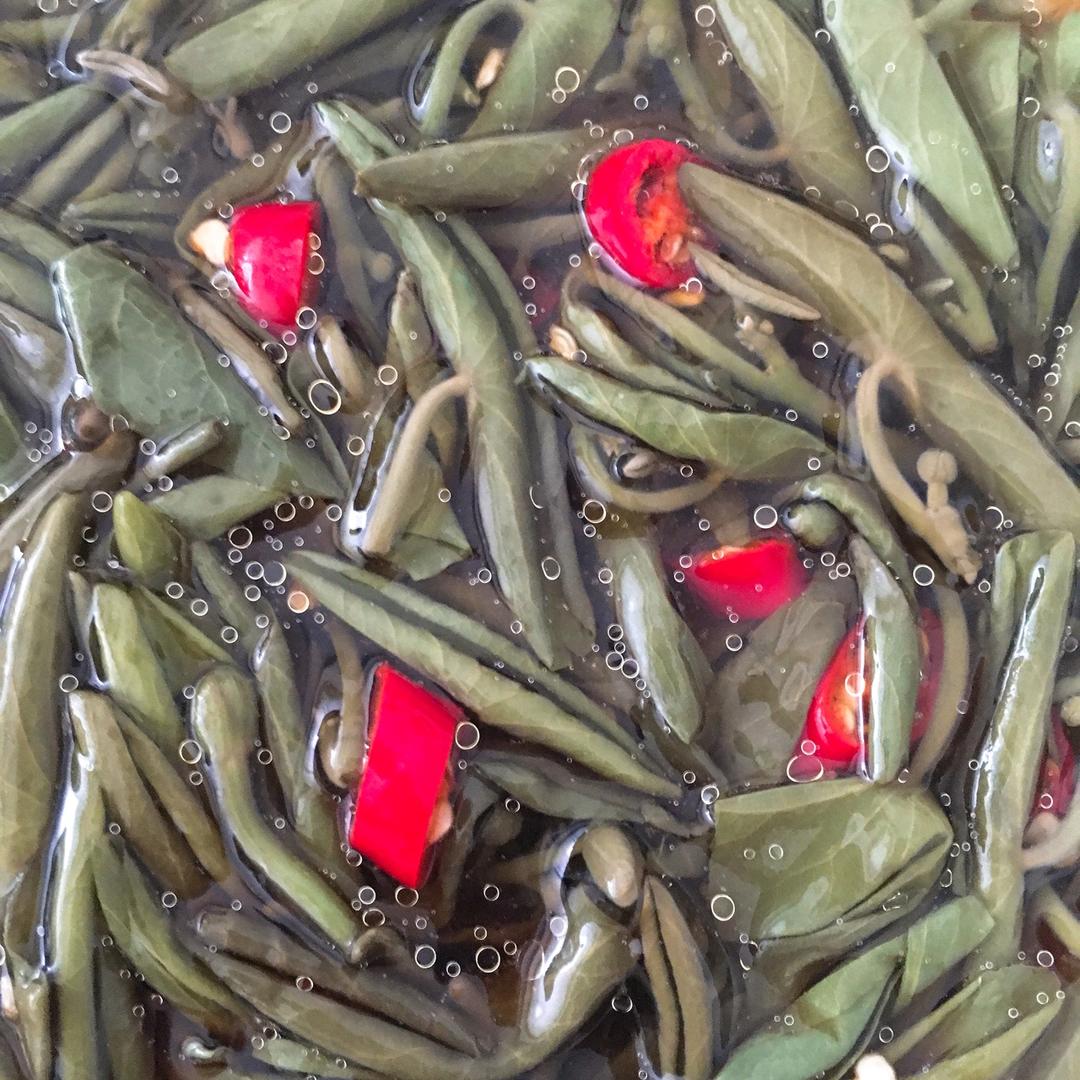 素拌莼菜