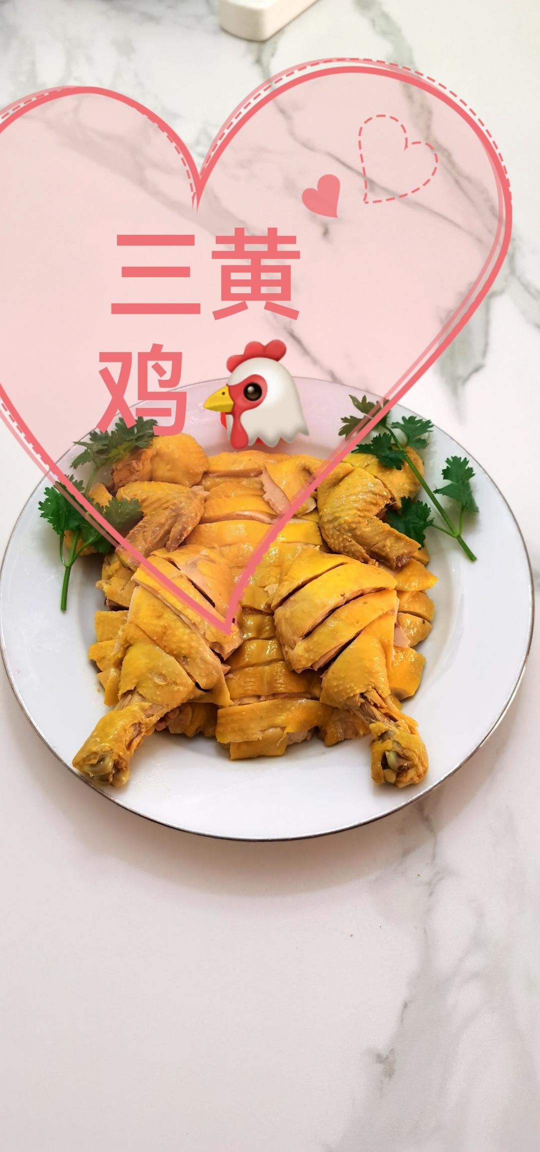 最简单的白斩鸡