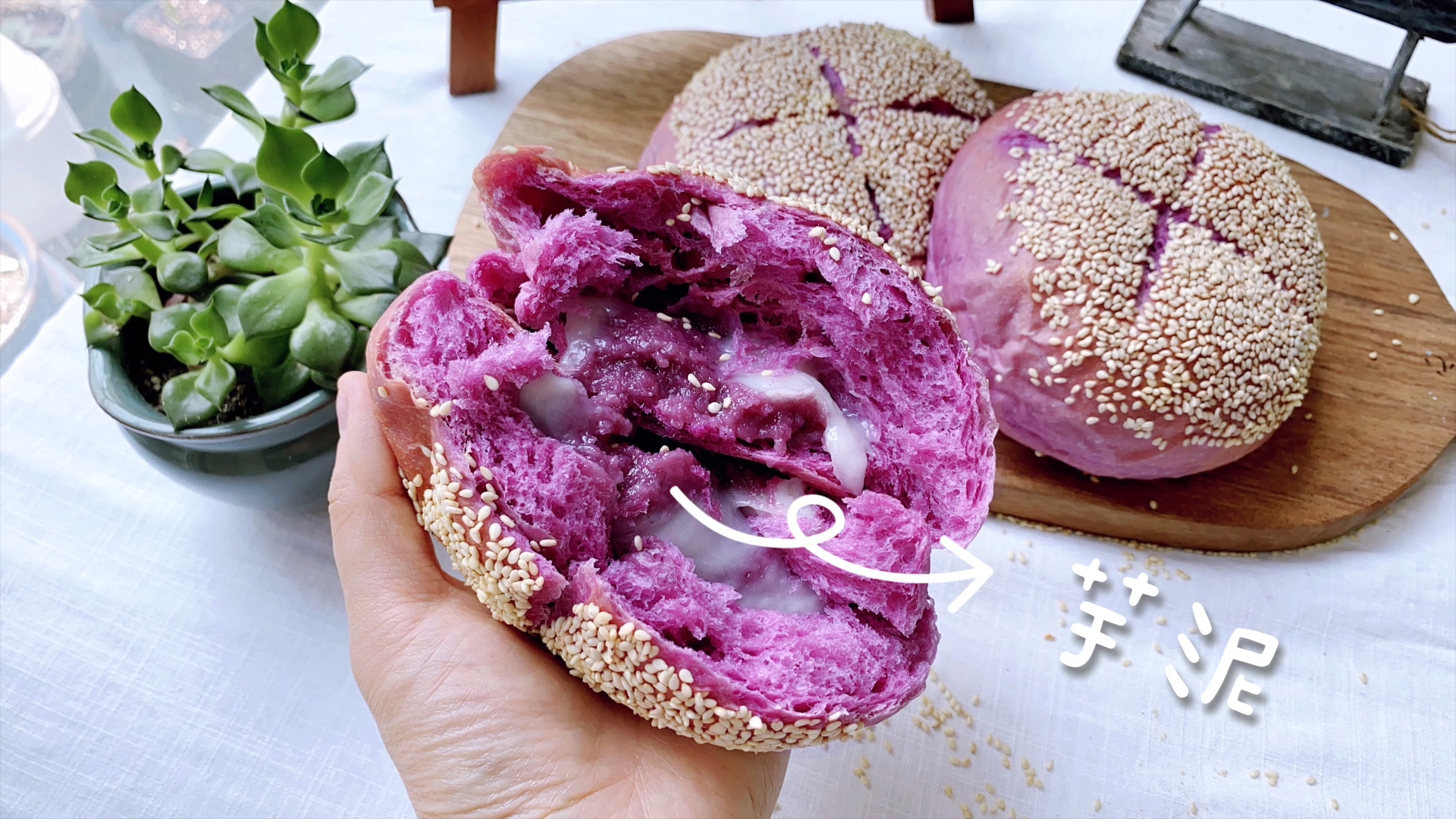 紫薯芋泥麻薯包