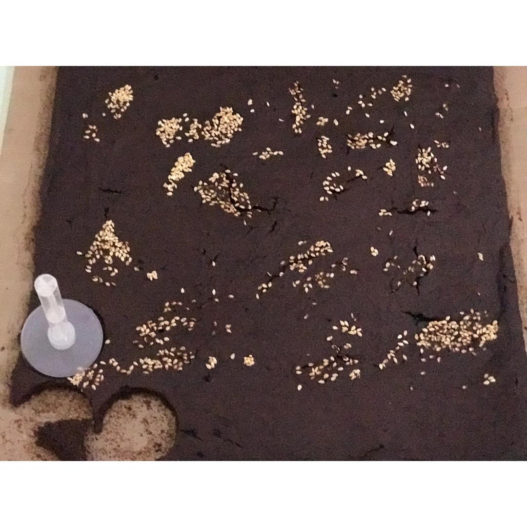 豆渣布朗尼