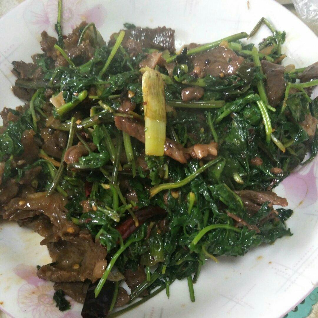 香菜牛肉