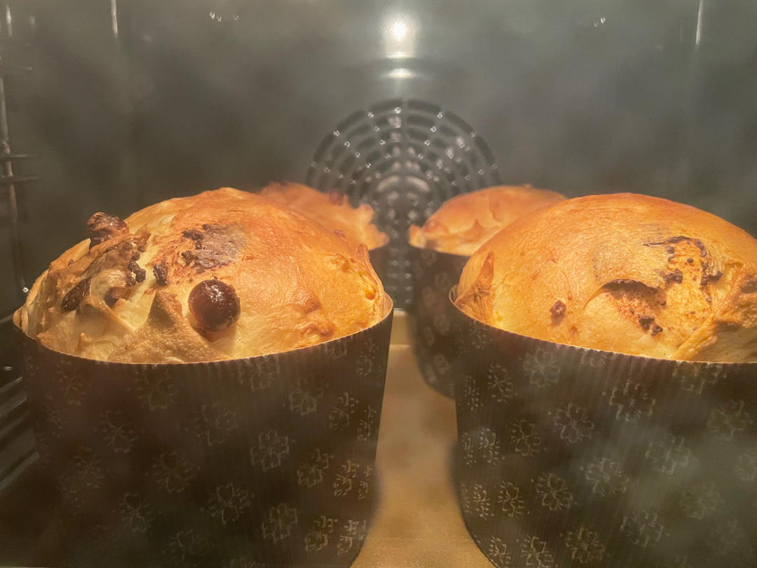 潘娜托尼(天然酵母版) Sourdough Panettone