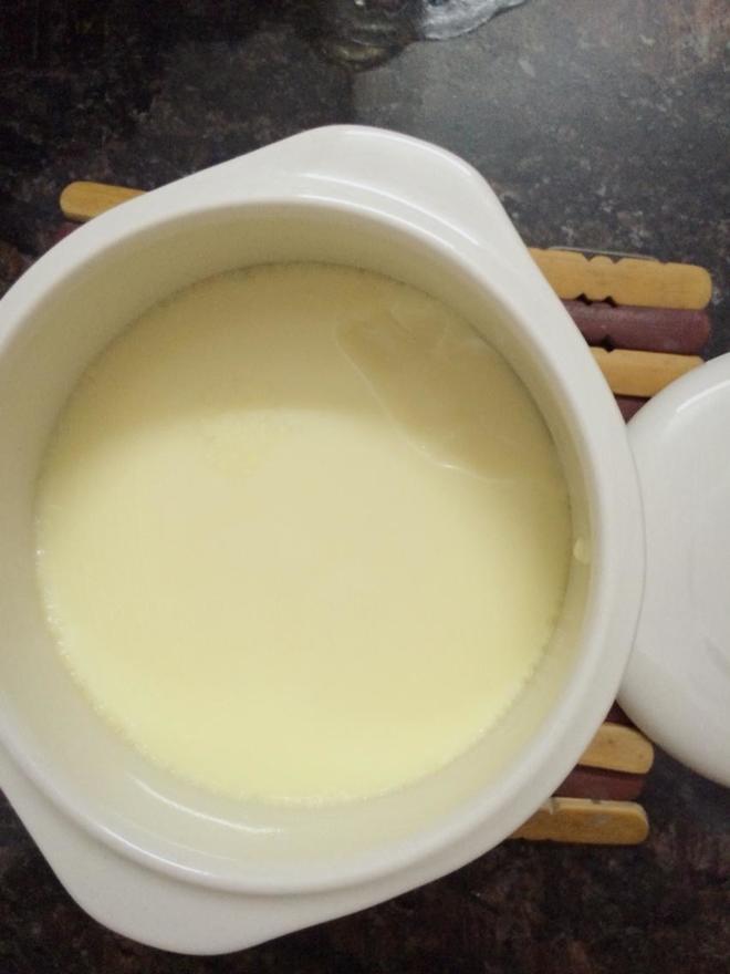 牛奶冰糖炖蛋的做法