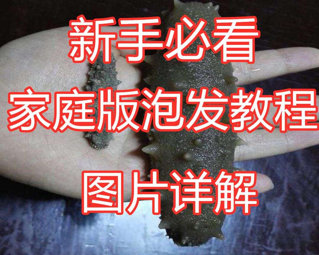 家庭版海参的泡发方法详解