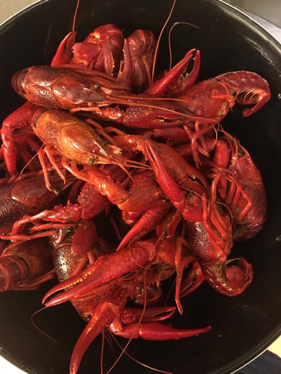 瑞典莳萝啤酒小龙虾 SWEDISH-STYLE DILL-POACHED CRAYFISH