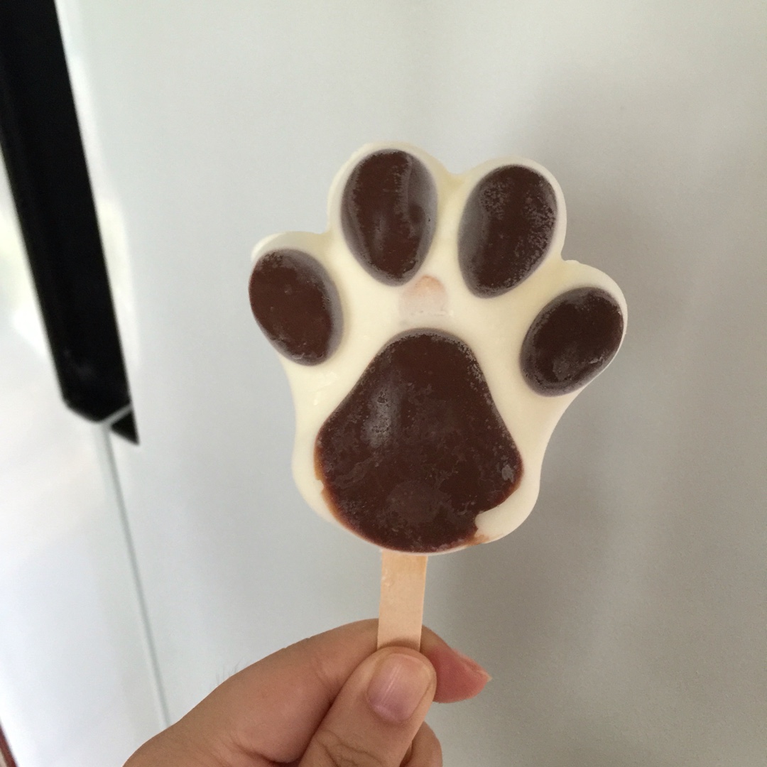 最简单快手的雪糕——酸奶雪糕（附变化版本）