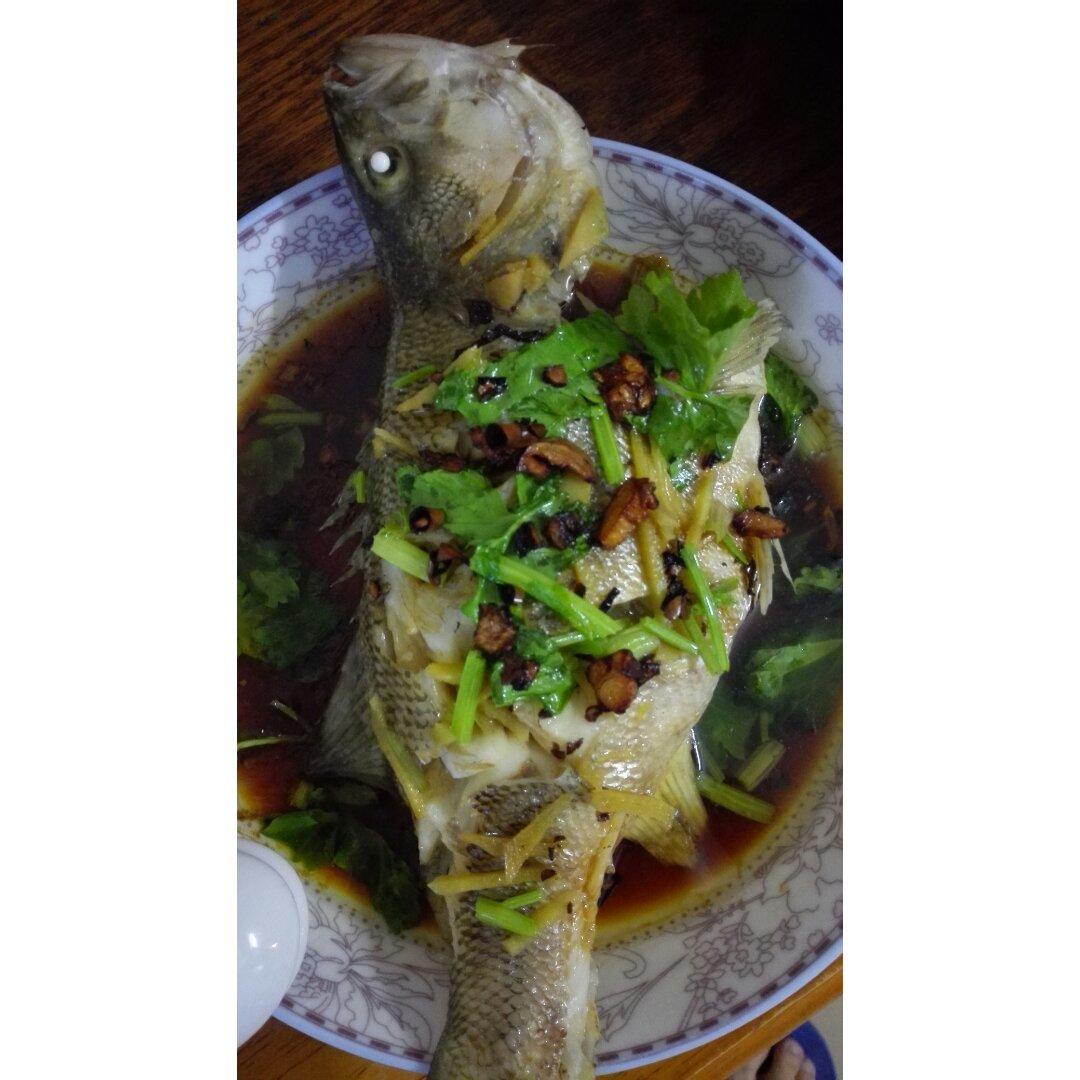 清蒸鲈鱼