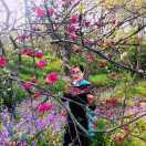 0820_hv8n