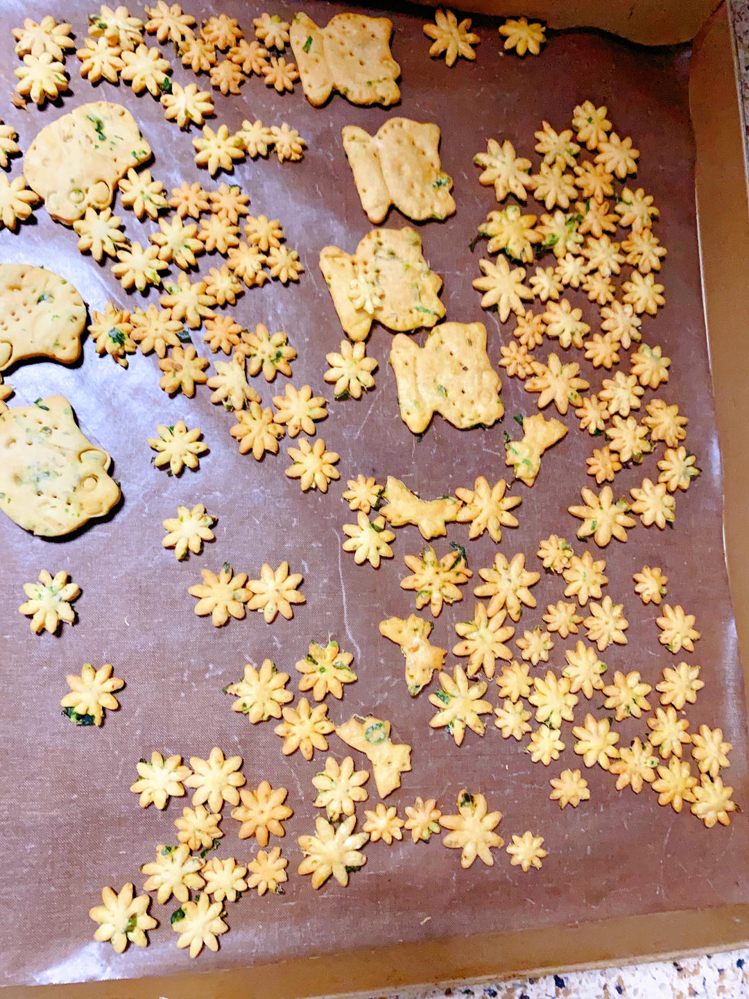 鲁邦弃种【香葱苏打饼干】