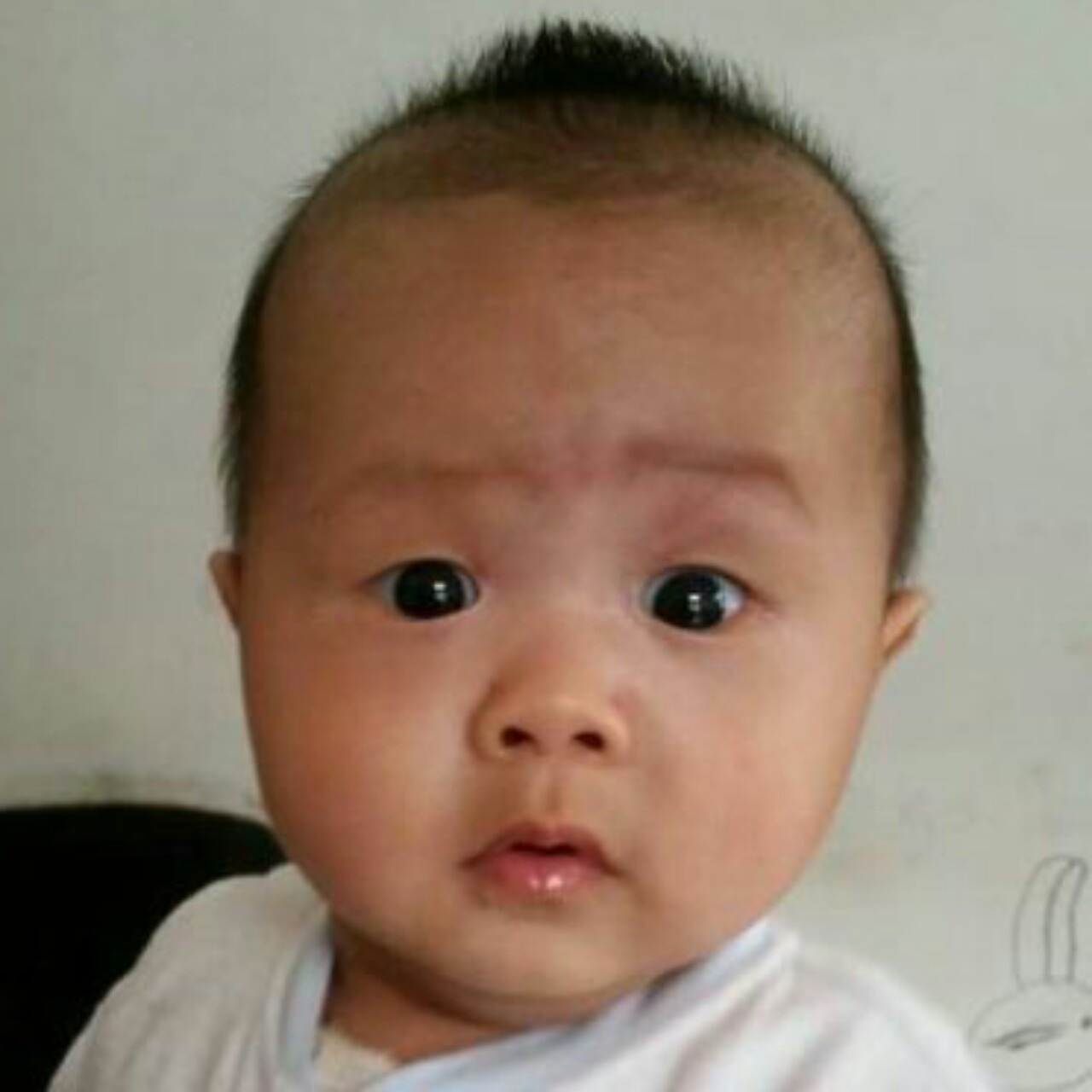 鱼_g7z0