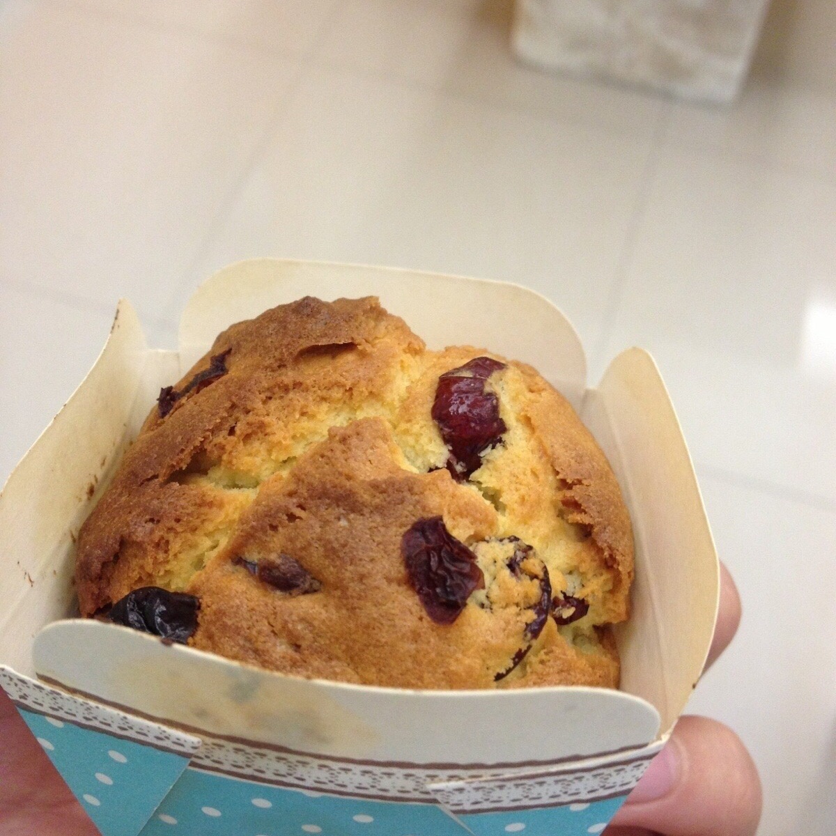 0失败的葡萄干麦芬