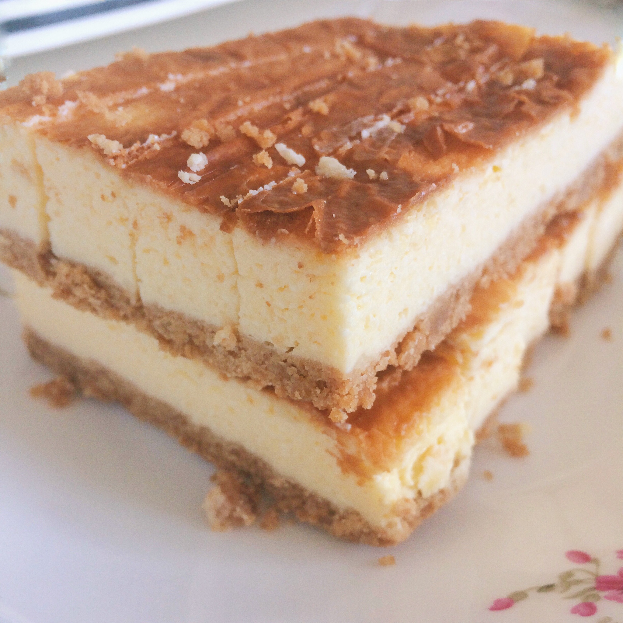 渣渣渣渣做的原味芝士条