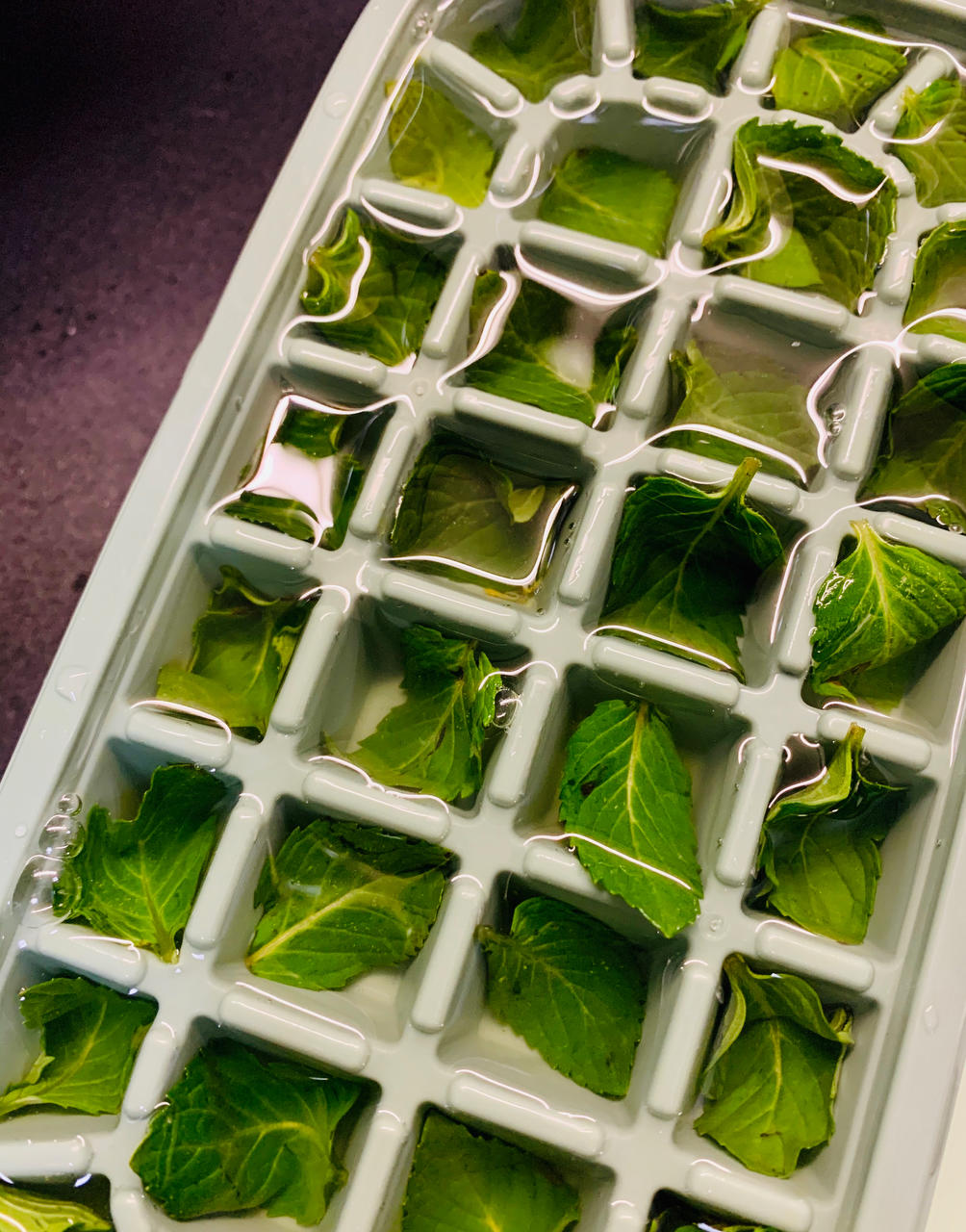 柠檬薄荷冰块