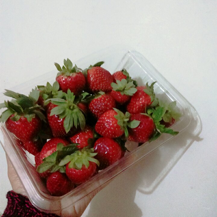 今冬第一颗草莓