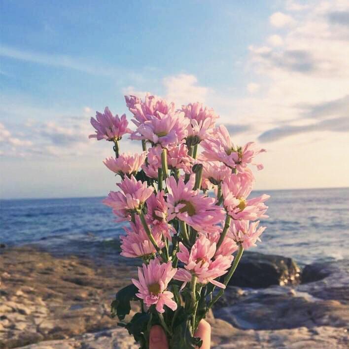 琰然Yan