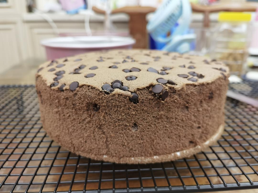 可可戚风蛋糕～8寸～百分百成功