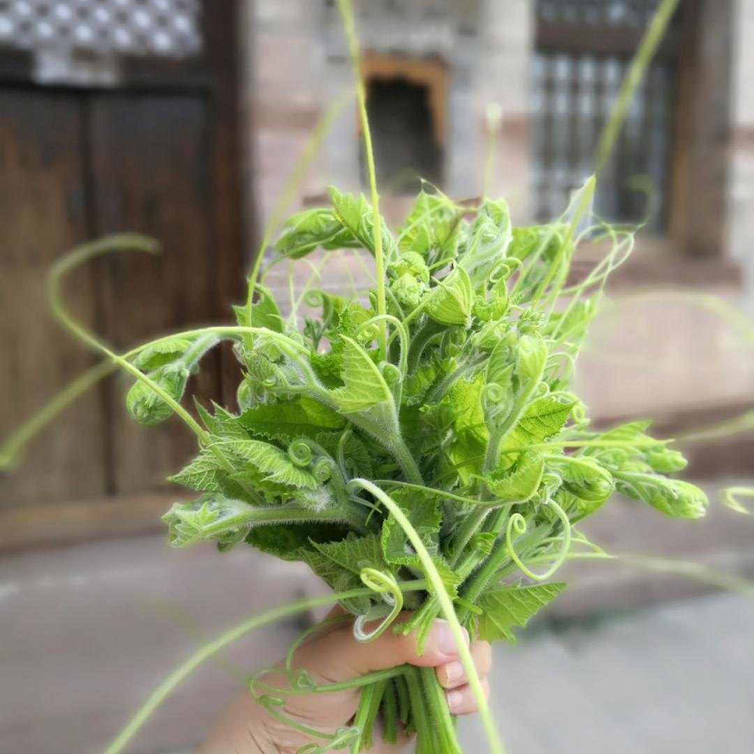 简慧2017