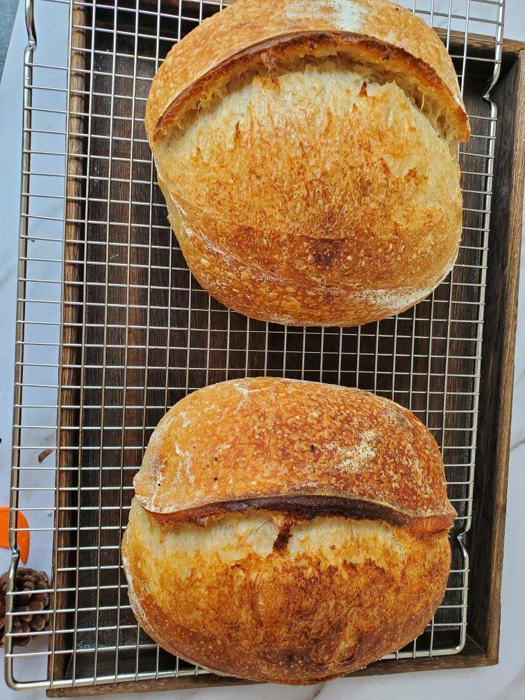 【硬欧笔记】GirlMeetsBread「Sourdough Notebook」