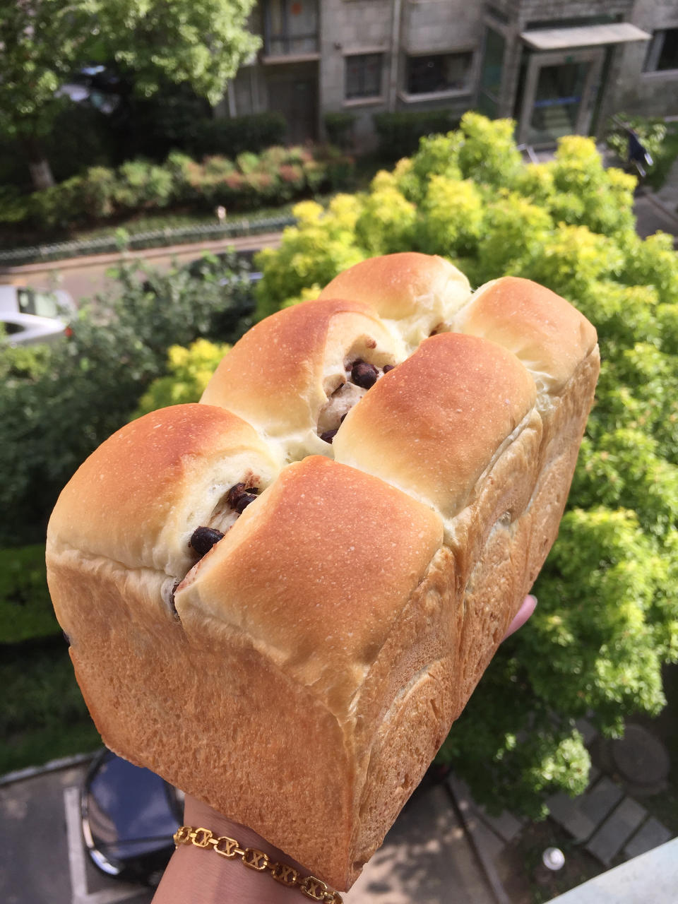 鲜奶红豆吐司