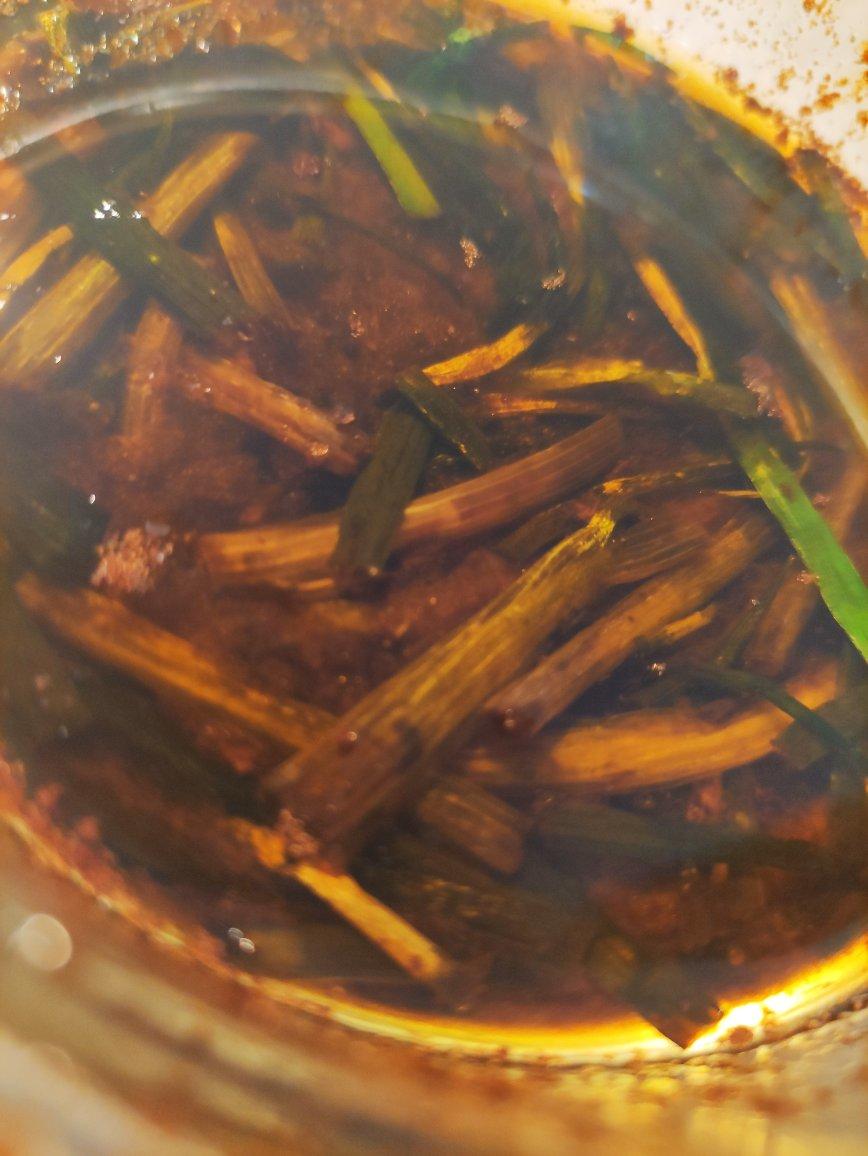 10分钟搞定的一碗葱油拌面
