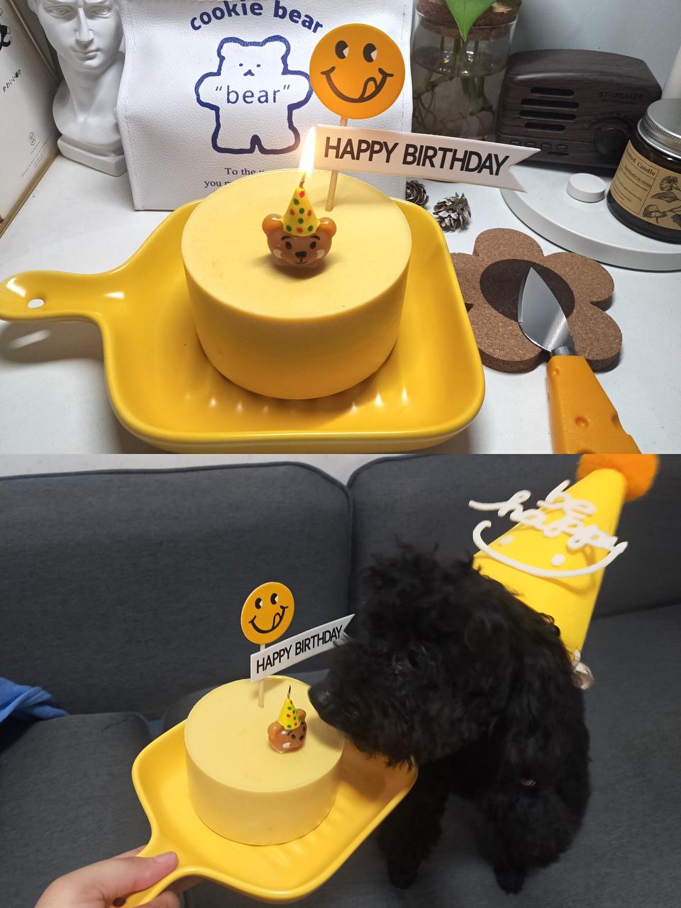 宠物自制慕斯生日蛋糕🎂
