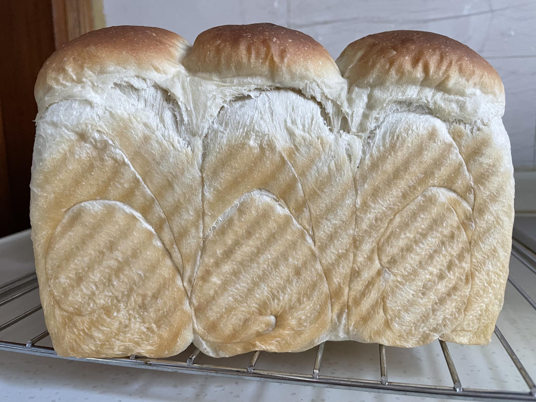 波兰种全麦吐司（40%全麦）