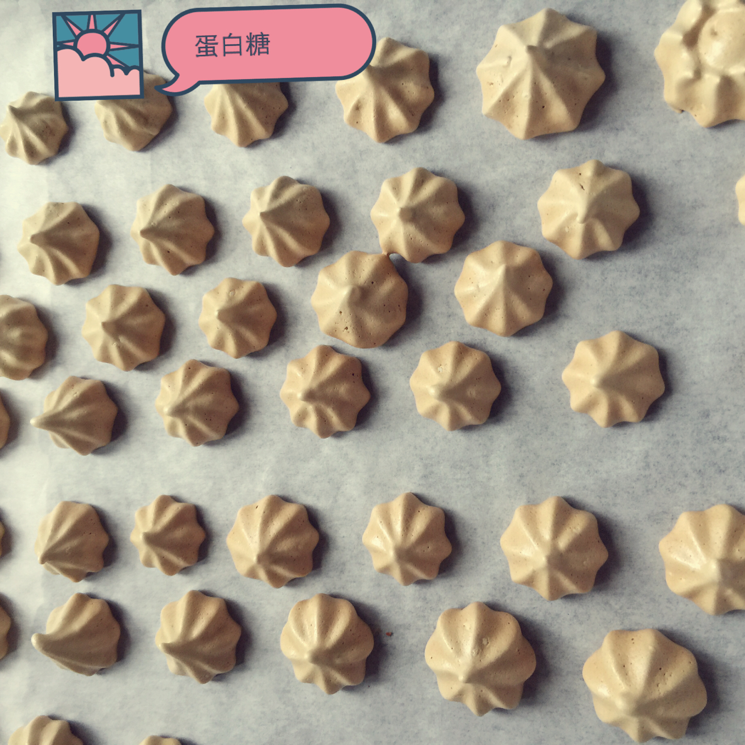 蛋白糖