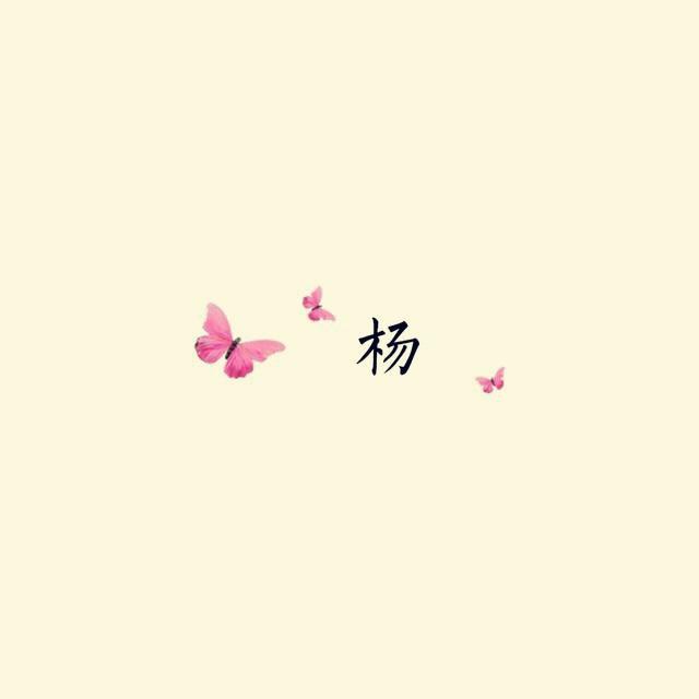 隔壁杨小姐