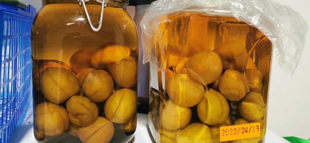 青梅酒实验_二锅头浸泡_已完成