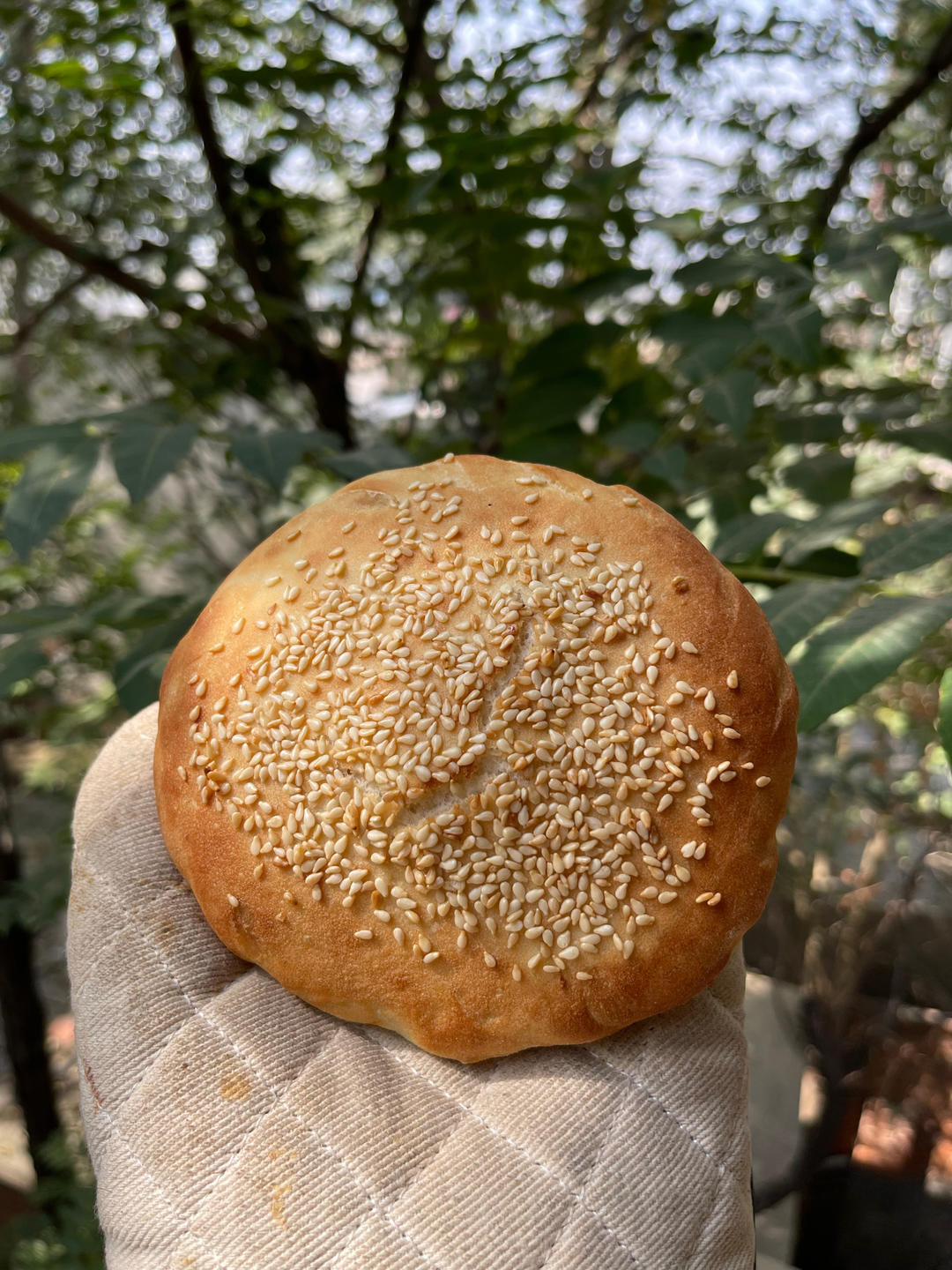河南芝麻盖烧饼