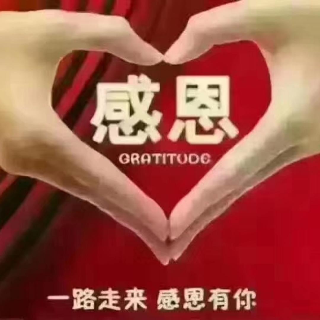 阳光与目光