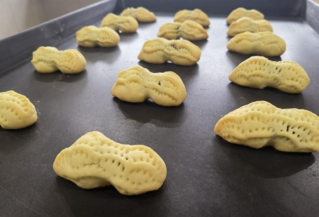 象形的核桃花生酥