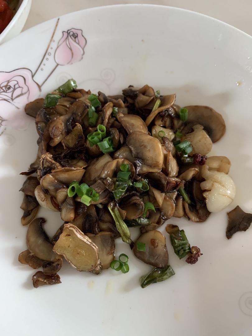 鲜掉眉毛的蚝油白蘑菇