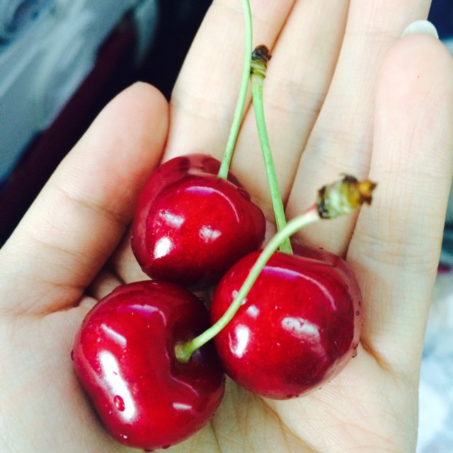 生如夏花之灿烂