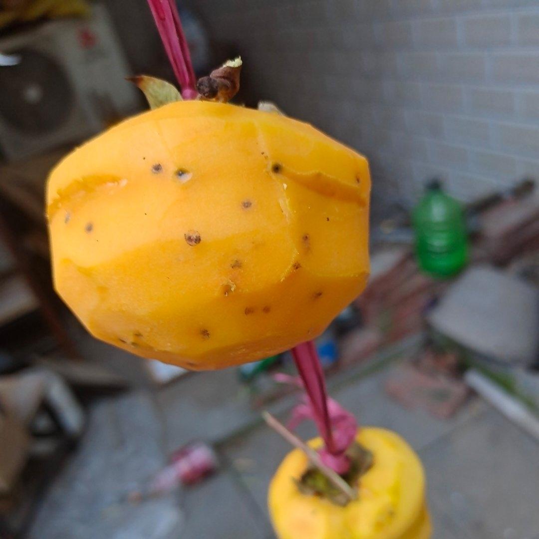 自制柿饼