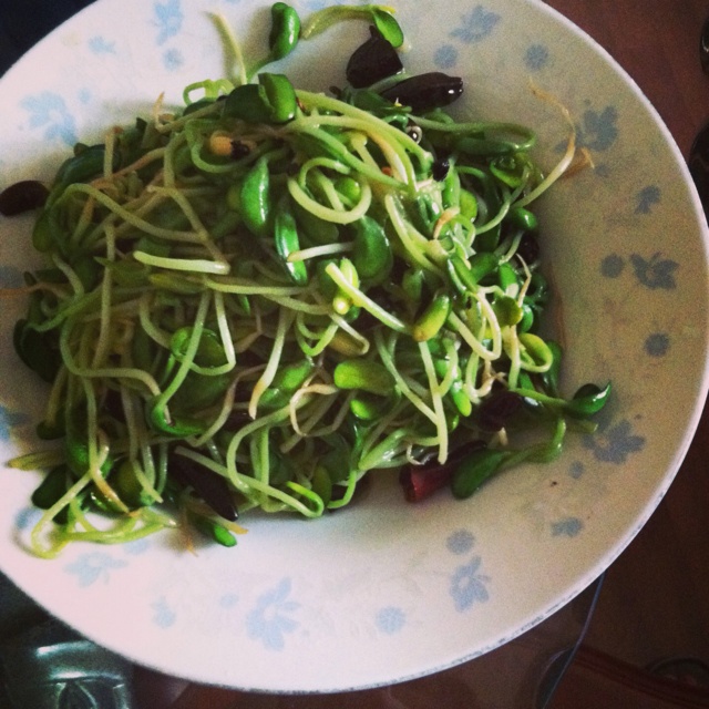 醋溜绿豆芽