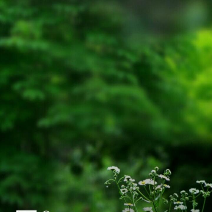 晨夕夕山_dhjm