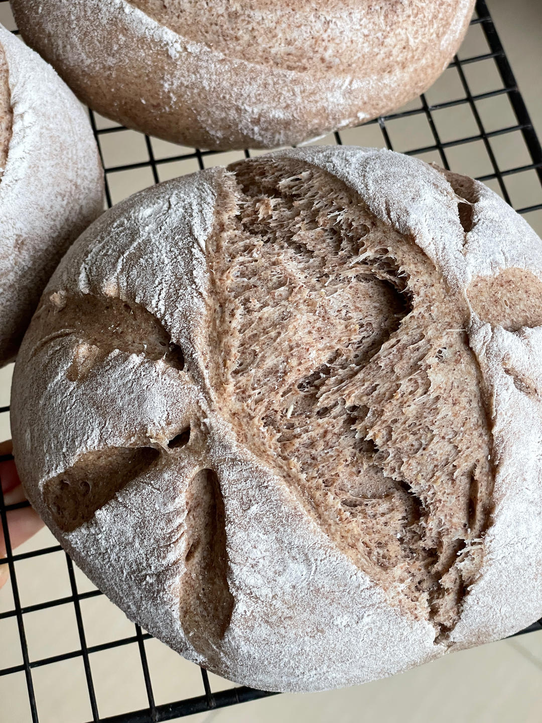 低卡黑麦全麦吐司