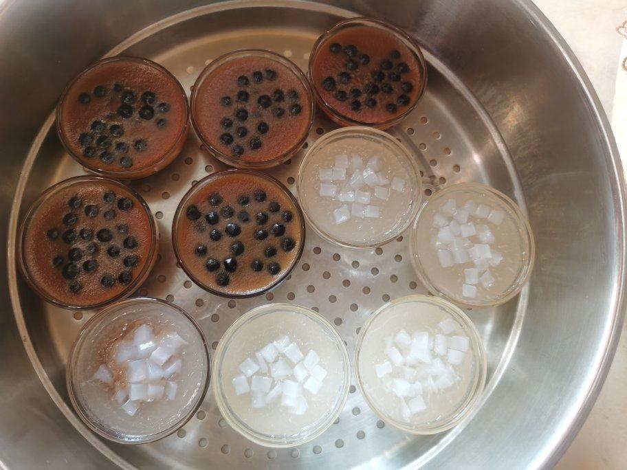 《Tinrry+》珍珠奶茶钵仔糕，是惊喜的味道！