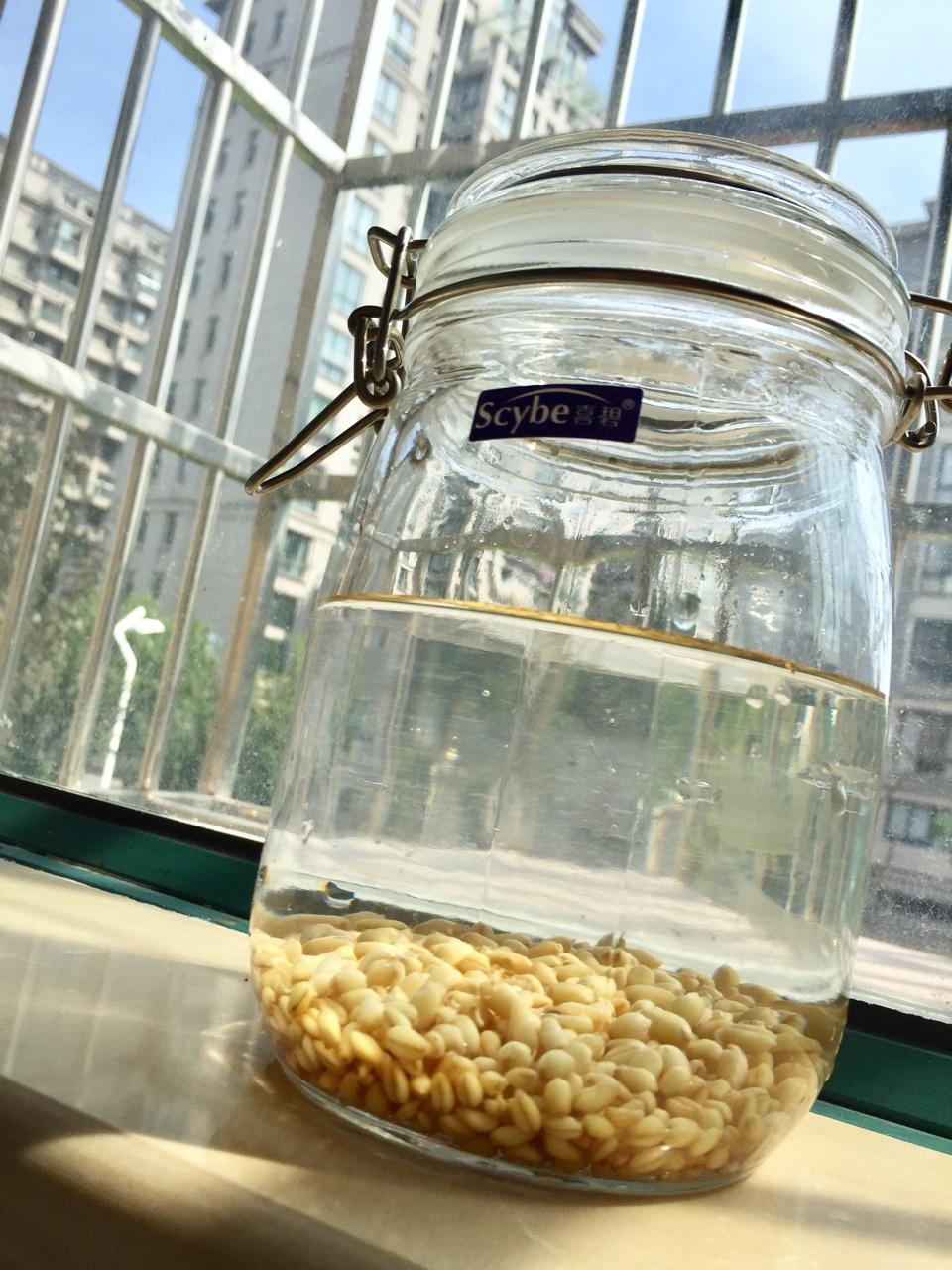 Rejuvelac发芽谷物益生菌水丨发酵·饮品