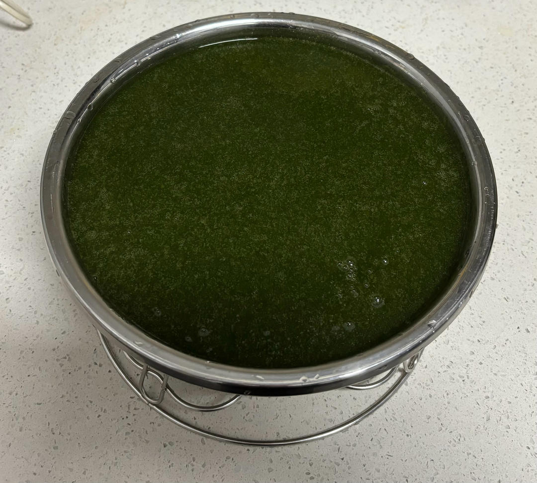 鲜凉粉草