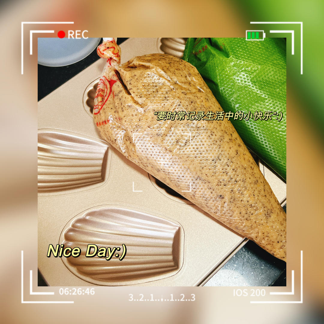 红茶柠香玛德琳