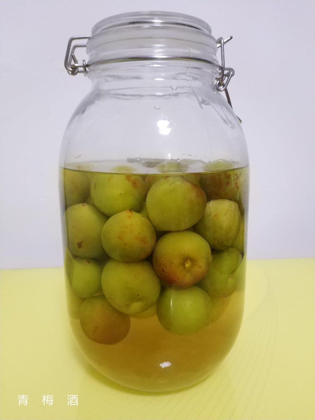 【青梅酒】梅子的沉醉时光（已填坑）