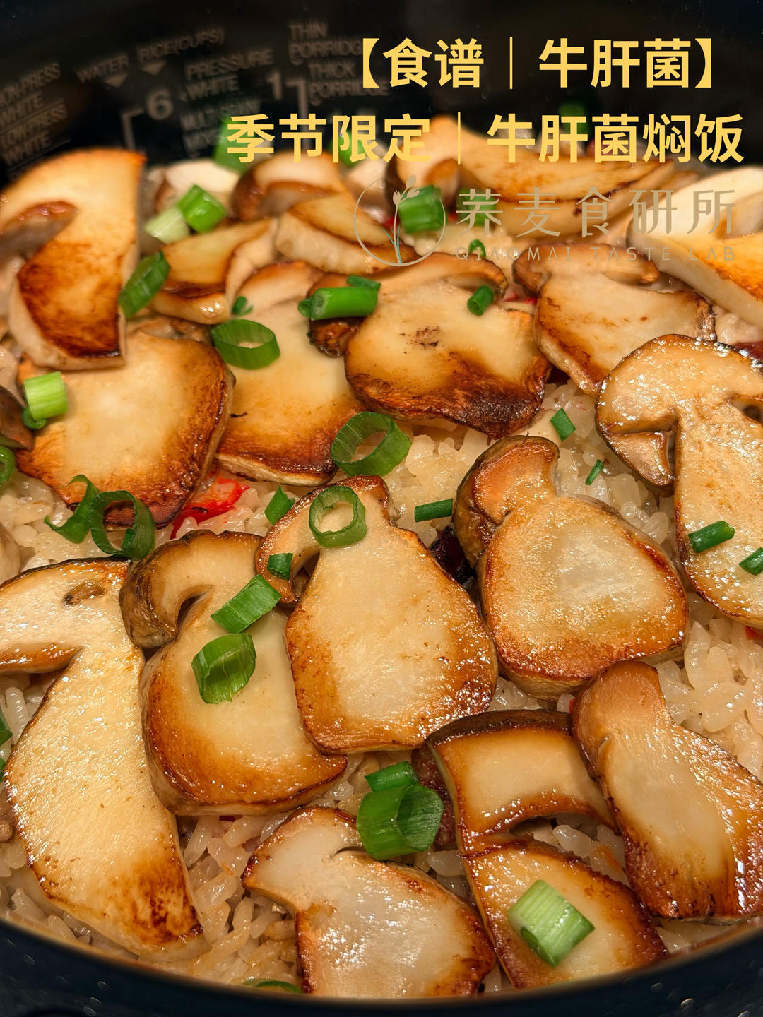 季节限定｜牛肝菌焖饭