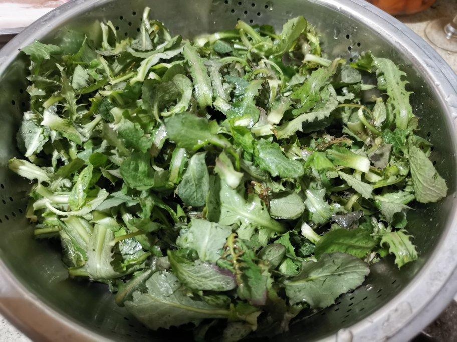 家有挑食小妞做的凉拌苦菜