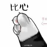 Yan233333