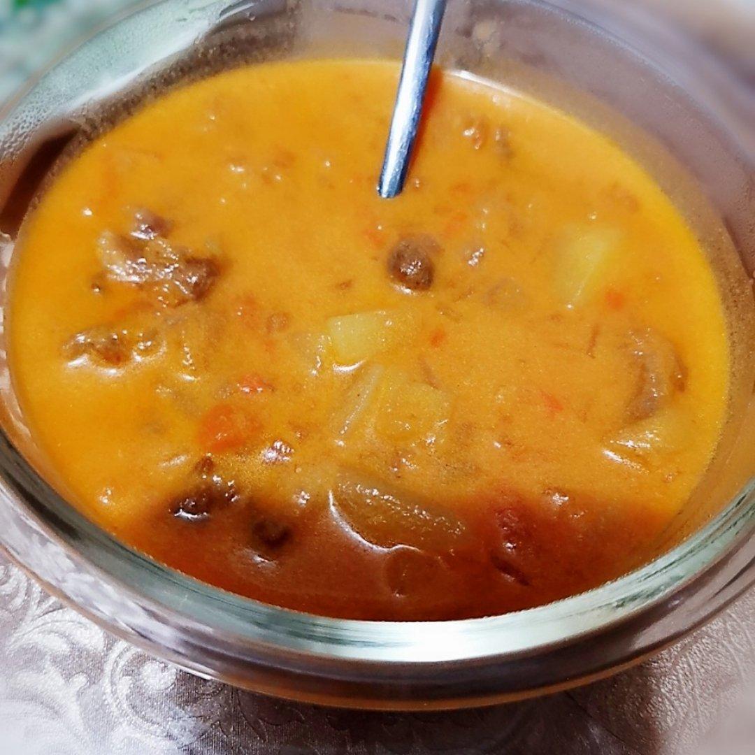 海派华老大罗宋汤