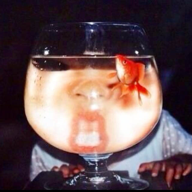 甚至是神經病姑娘