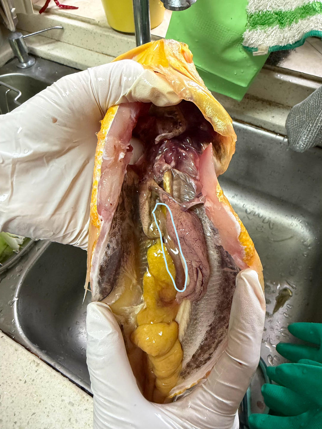 红烧黄鱼—鱼皮不破的小窍门