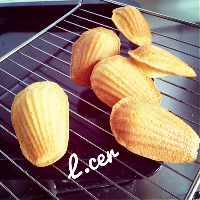 玛德琳蛋糕
